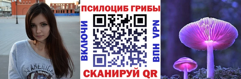 Псилоцибиновые грибы Magic Shrooms  как найти закладки  Пойковский 